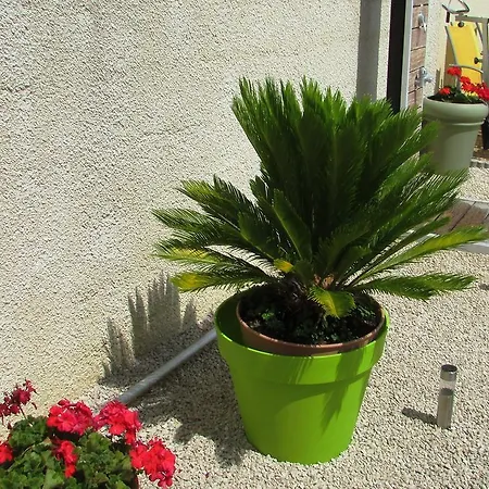 D'hotes Tardy Bed and breakfast Saint-Michel-sur-Savasse