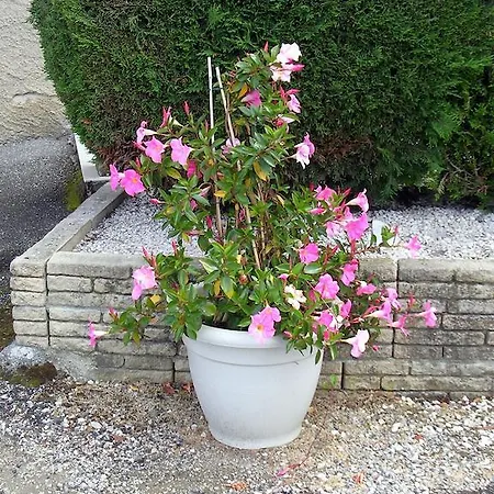 D'hotes Tardy Bed & Breakfast Saint-Michel-sur-Savasse