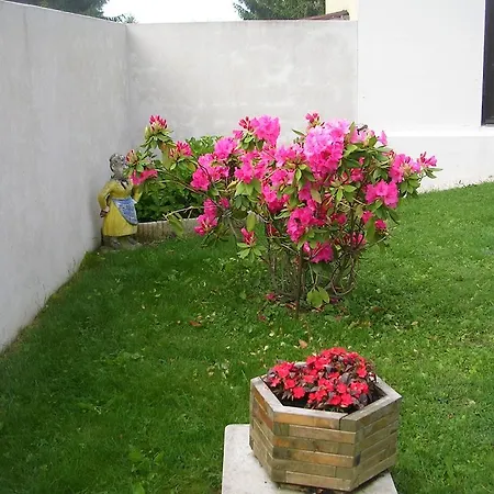 D'hotes Tardy Bed & Breakfast